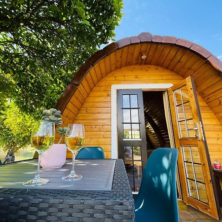 Corredoura The Gold Pod, Relax And Enjoy On A Glamping House旅馆 外观 照片