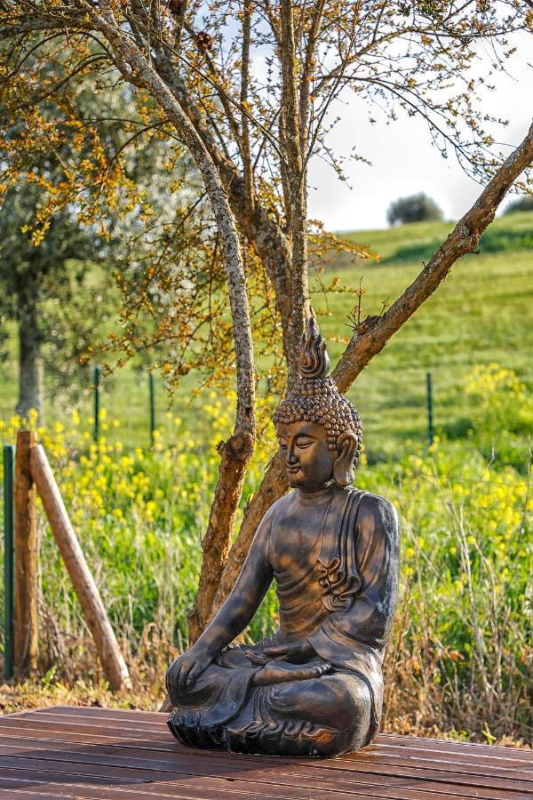 Corredoura The Gold Pod, Relax And Enjoy On A Glamping House旅馆 外观 照片