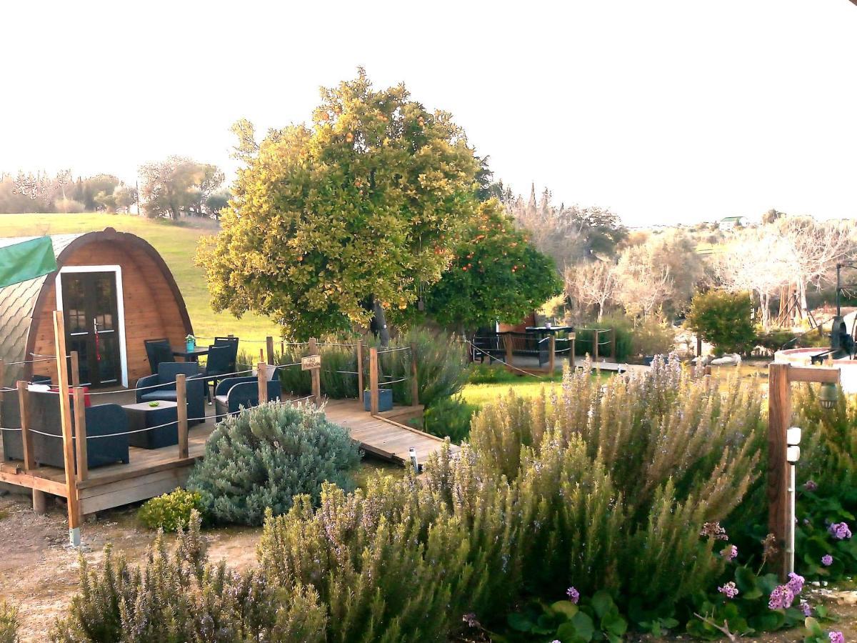 Corredoura The Gold Pod, Relax And Enjoy On A Glamping House旅馆 外观 照片