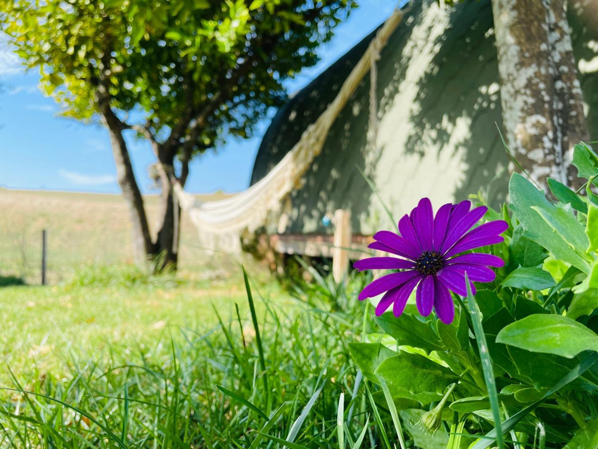 Corredoura The Gold Pod, Relax And Enjoy On A Glamping House旅馆 外观 照片